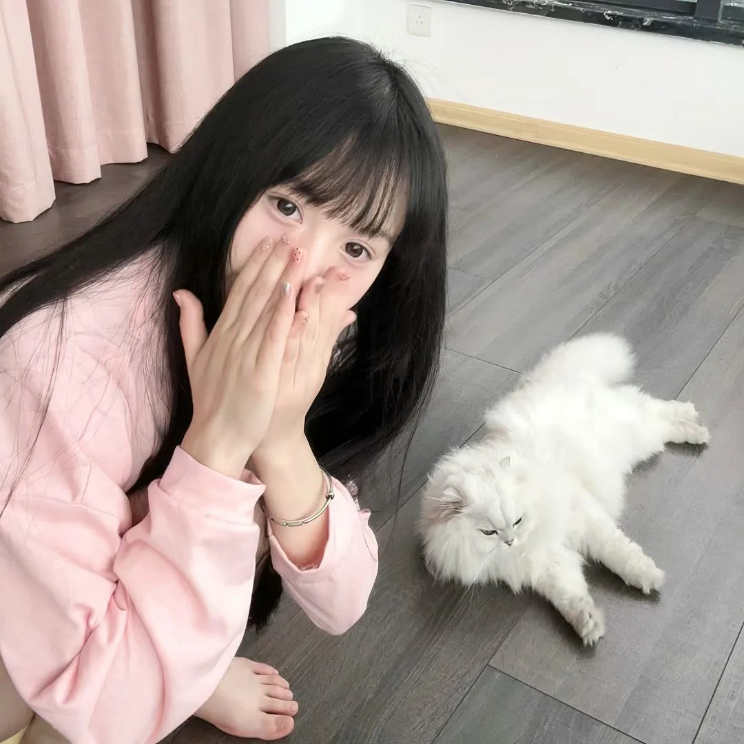 生活，动画 在线观看