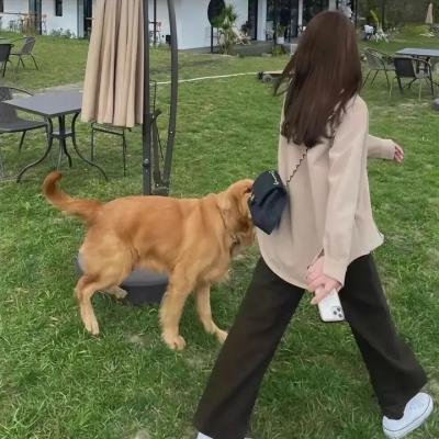 等待幸福 在线观看